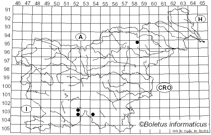 <i>Arthonia leucopellaea</i> (Ach.) Almq. (1880)
