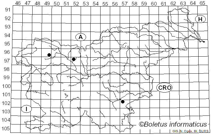 <i>Piloderma byssinum</i> (P. Karst.) Jülich (1969)