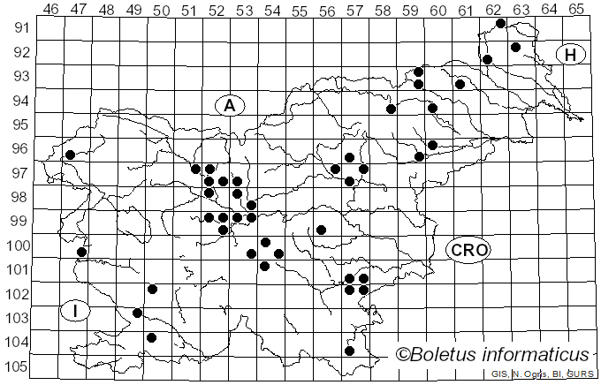 <i>Strobilurus tenacellus</i> (Pers.) Singer (1962)