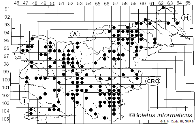 <i>Pycnoporus cinnabarinus</i> (Jacq.) Fr. (1881)