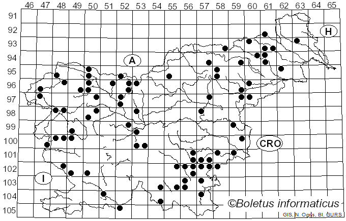 <i>Mycena pelianthina</i> (Fr.) Quél. (1872)