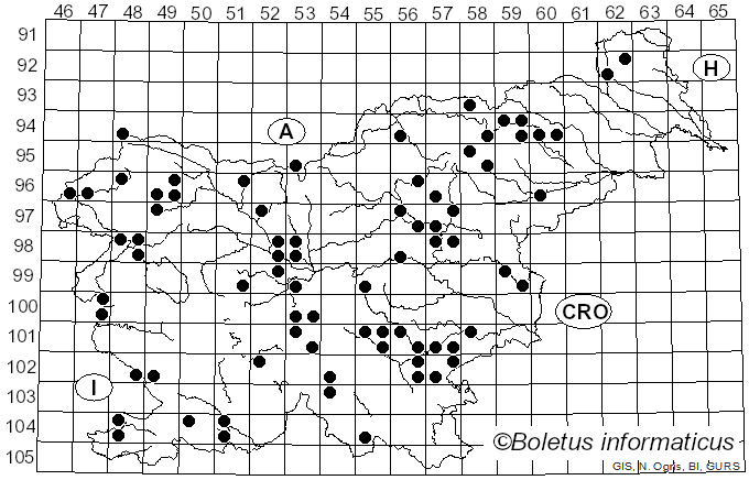 <i>Micromphale</i> Gray (1821)
