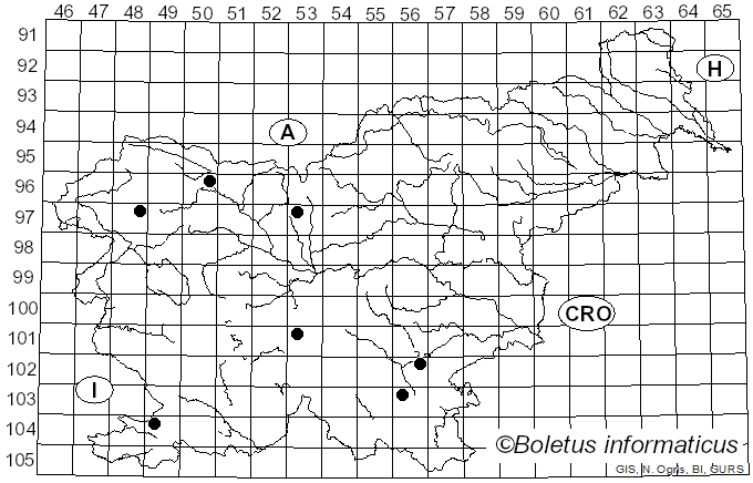 <i>Mucilago crustacea</i> P. Micheli ex F.H. Wigg. (1780)