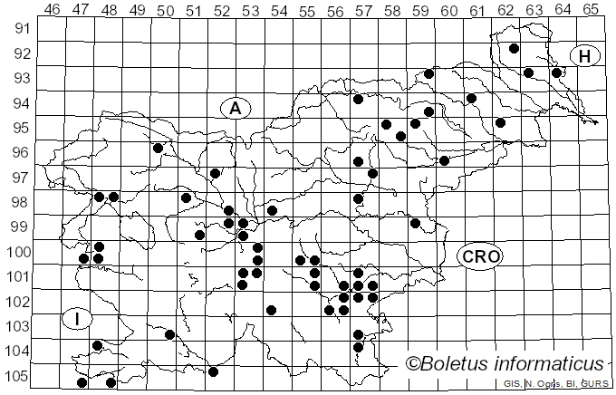 <i>Russula maculata</i> Quél. & Roze (1877)