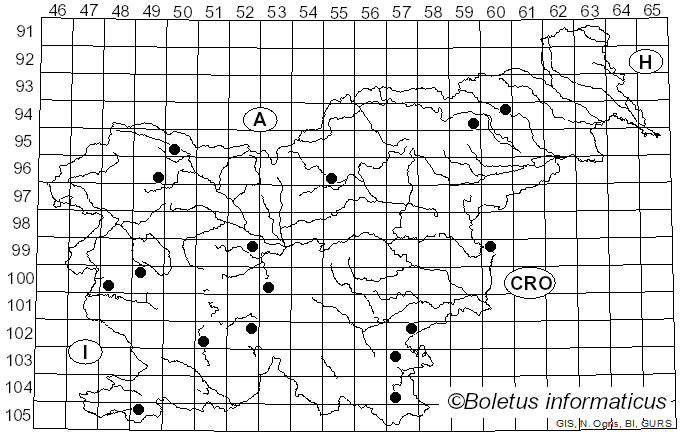 <i>Fuscoporia</i> Murrill (1907)