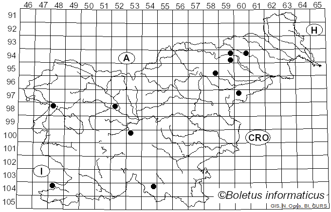 <i>Inonotus obliquus</i> (Pers.) Pilát (1942)