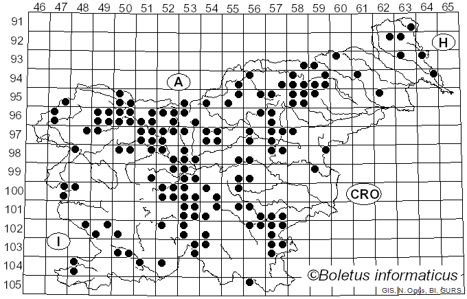 <i>Tricholoma vaccinum</i> (Schaeff.) P. Kumm. (1871)