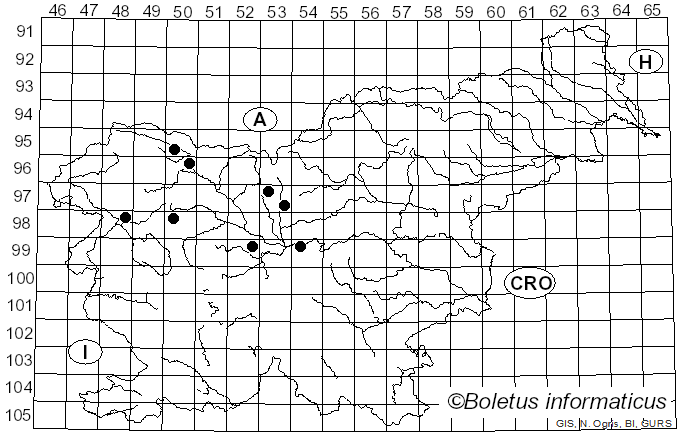 <i>Cucurbitaria berberidis</i> (Pers.) Grev. (1821)