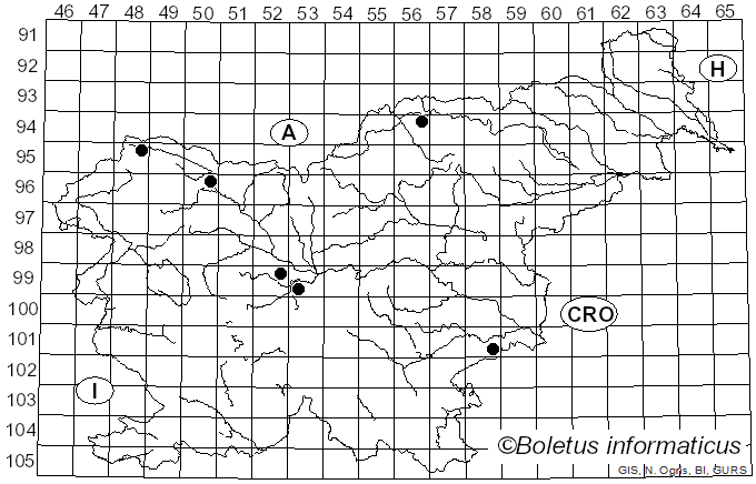 <i>Melanconium</i> Link (1809)