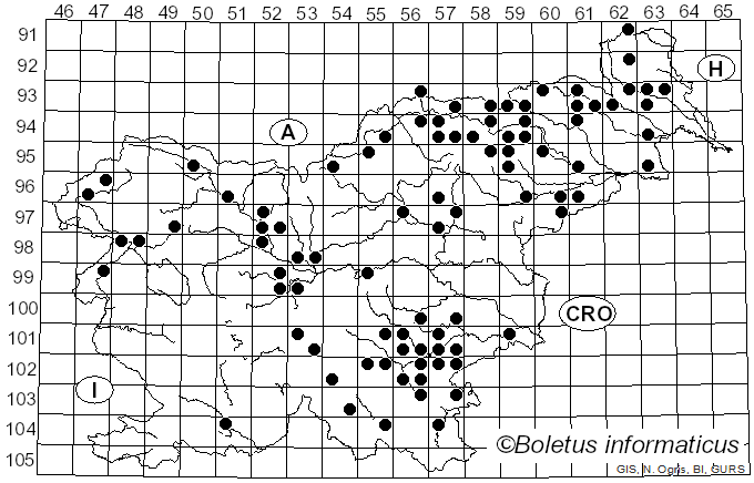 <i>Cyanoboletus pulverulentus</i> (Opat.) Gelardi, Vizzini & Simonini (2014)
