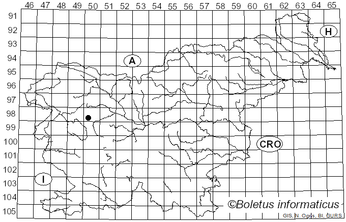 <i>Inocybe lanuginosa</i> var. <i>ovatocystis</i> (Boursier & Kühner) Stangl (1989)