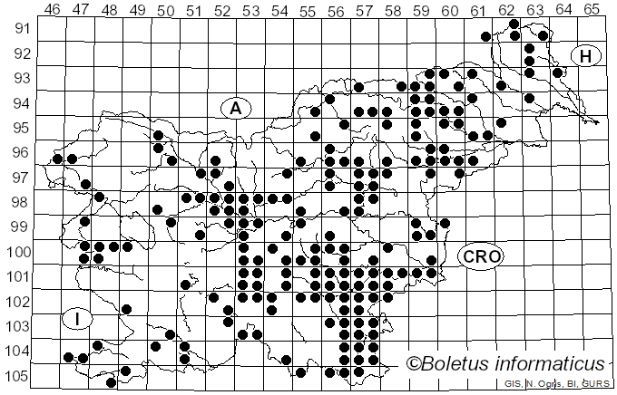 <i>Candolleomyces candolleanus</i> (Fr.) D. Wächt. & A. Melzer (2020)