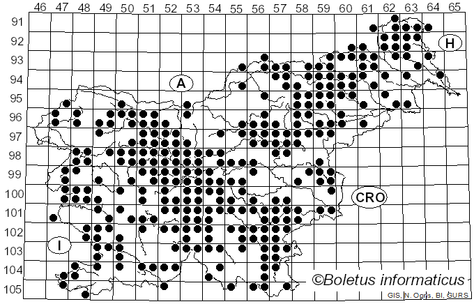 <i>Lepista</i> (Fr.) W.G. Sm. (1870)