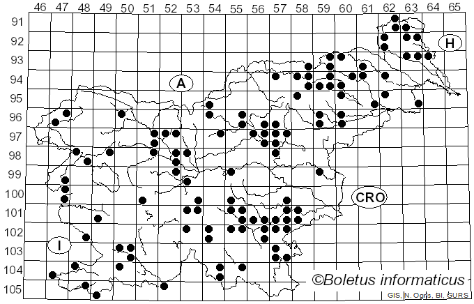 <i>Hapalopilus</i> P. Karst. (1881)