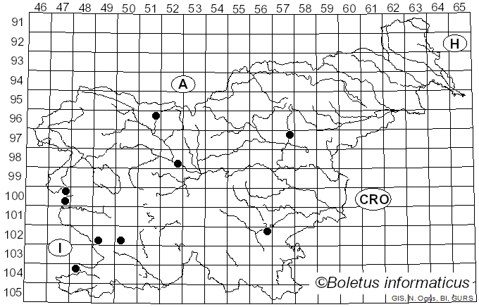 <i>Clavaria fumosa</i> Pers. (1797)