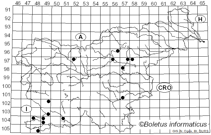 <i>Pleurotus eryngii</i> var. <i>eryngii</i> (DC.) Quél. (1872)