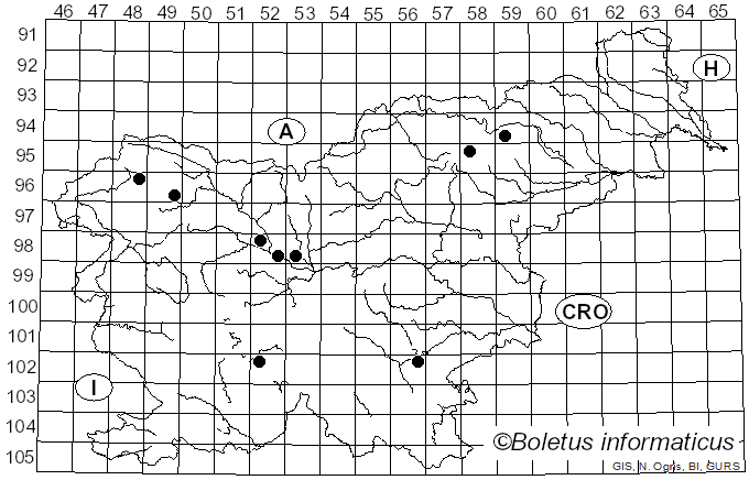 <i>Leptoporus</i> Quél. (1886)
