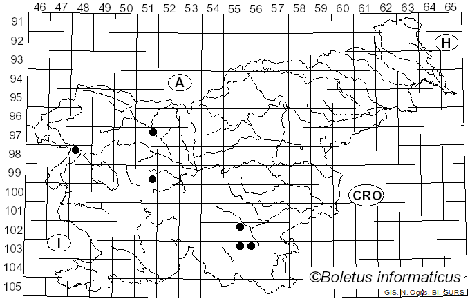 <i>Hyphodontia barba-jovis</i> (Bull.) J. Erikss. (1958)