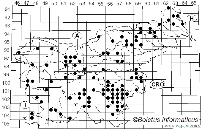 <i>Ramaria flavescens</i> (Schaeff.) R.H. Petersen (1974)