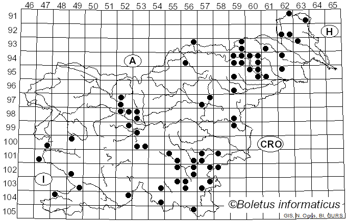 <i>Crepidotus variabilis</i> (Pers.) P. Kumm. (1871)