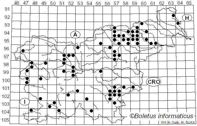 <i>Polyporus lipsiensis</i> (Batsch) E.H.L. Krause (1928)