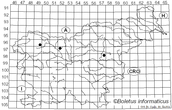 <i>Pholiota mixta</i> (Fr.) Kuyper & Tjall.-Beuk. (1986)