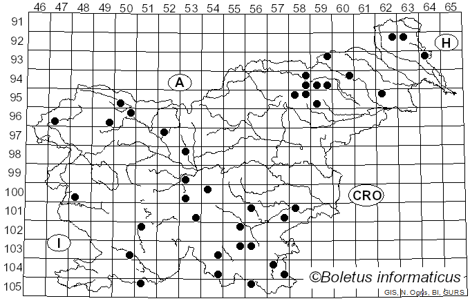 <i>Stereum sanguinolentum</i> (Alb. & Schwein.) Fr. (1838)