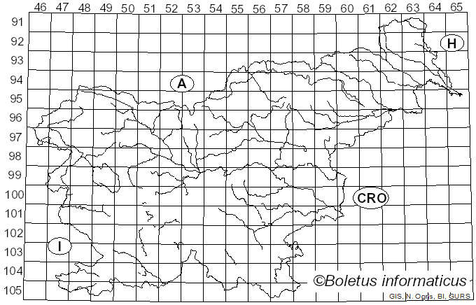 <i>Lepiota bettinae</i> Dörfelt (1982)