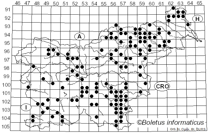 <i>Amaropostia stiptica</i> (Pers.) B.K. Cui, L.L. Shen & Y.C. Dai (2018)