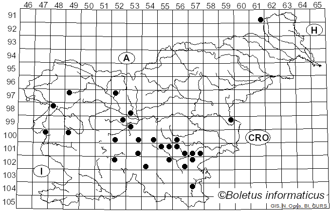 <i>Stropharia cyanea</i> (Bolton) Tuom. (1953)