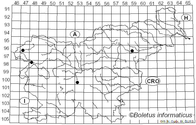 <i>Phlegmacium triumphans</i> (Fr.) A. Blytt (1905)