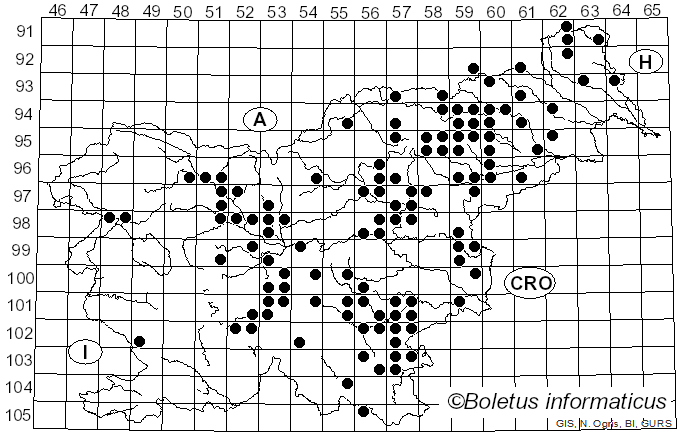 <i>Russula solaris</i> Ferd. & Winge (1924)