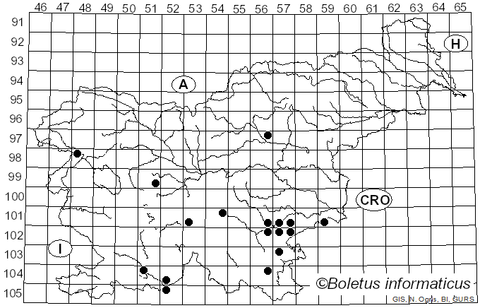 <i>Imperator luteocupreus</i> (Bertéa & Estadès) Assyov et al. (2015)