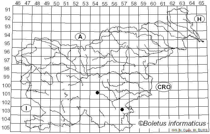 <i>Phaeoclavulina abietina</i> (Pers.) Giachini (2011)