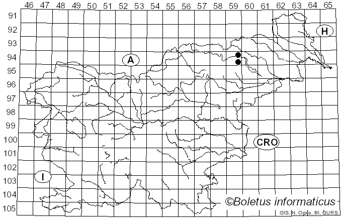 <i>Inocybe griseovelata</i> Kühner (1955)