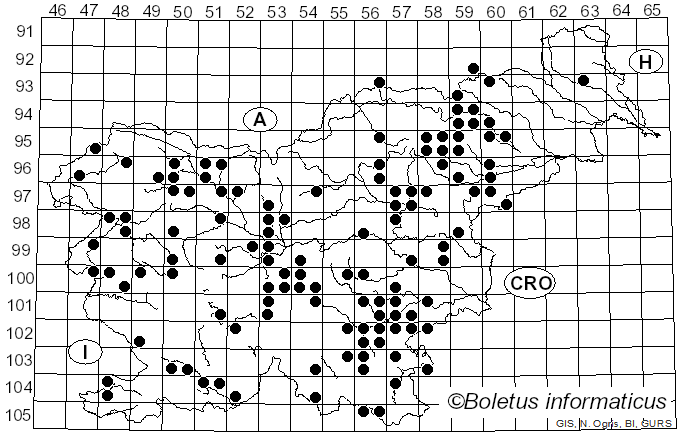 <i>Hericium</i> Pers. (1794)