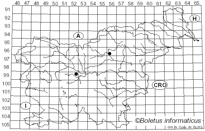 <i>Hypholoma polytrichi</i> (Fr.) Ricken (1912)