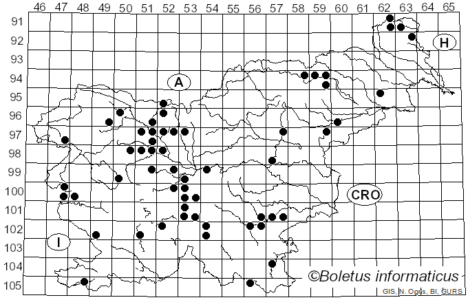 <i>Crucibulum laeve</i> (Huds.) Kambly (1936)