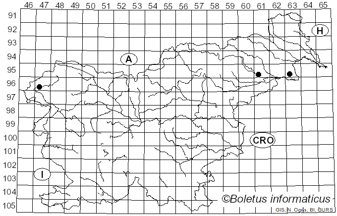 <i>Amanita huijsmanii</i> F. Massart & Rouzeau (1990)