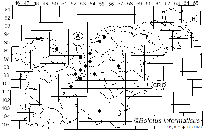 <i>Bremia</i> Regel (1843)