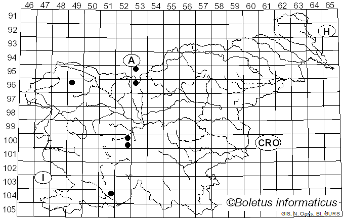 <i>Cheilosia gagatea</i> Loew
