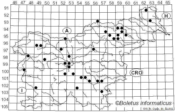 <i>Hypholoma radicosum</i> J.E. Lange (1923)