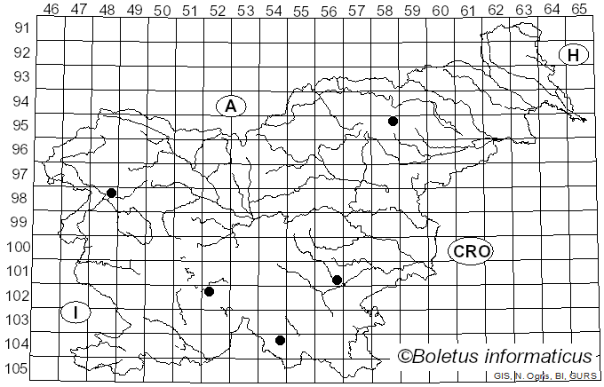 <i>Sebacina grisea</i> (Pers.) Bres. (1908)