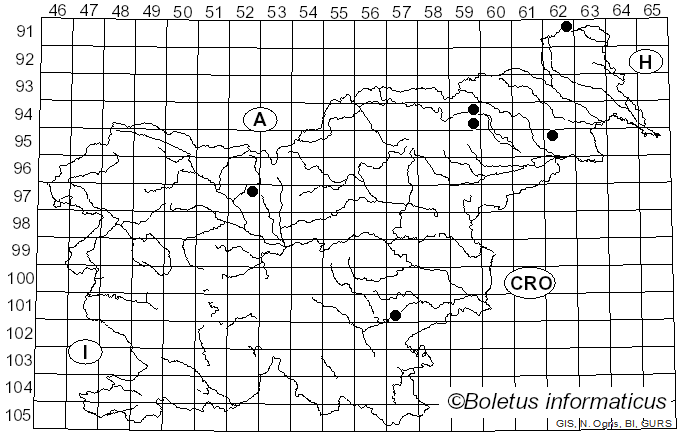 <i>Trichoderma citrinum</i> (Pers.) Jaklitsch, W. Gams & Voglmayr (2014)