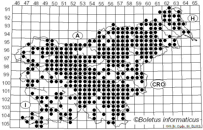 <i>Cantharellus</i> Adans. ex Fr. (1821)