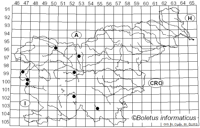 <i>Melampsora euphorbiae-dulcis</i> G.H. Otth (1868)