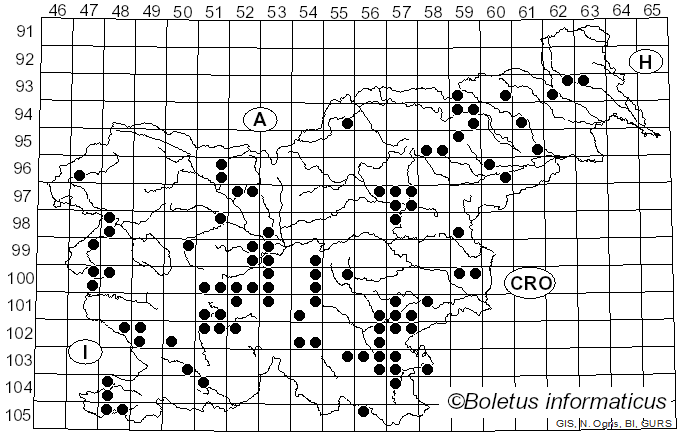<i>Ganoderma lucidum</i> (Curtis) P. Karst. (1881)