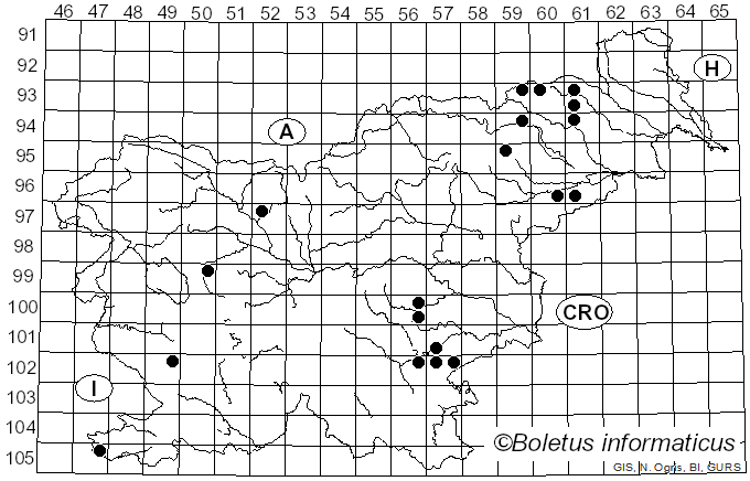 <i>Cantharellus ferruginascens</i> P.D. Orton (1969)