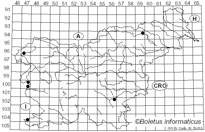 <i>Mycena meliigena</i> (Berk. & Cooke) Sacc. (1887)