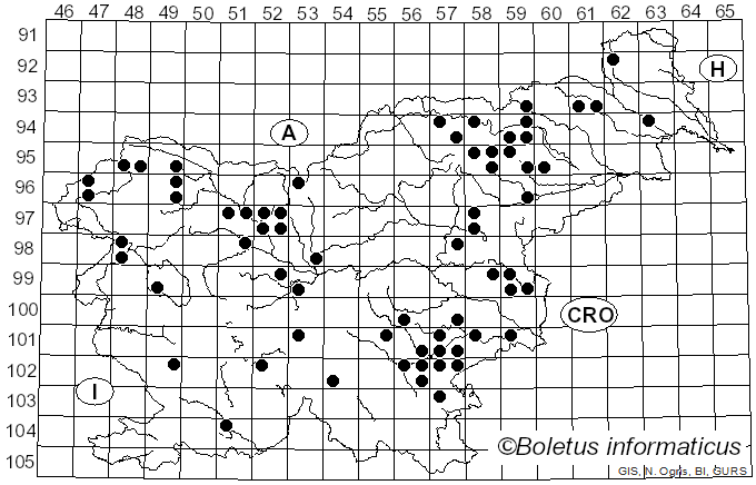 <i>Armillaria borealis</i> Marxm. & Korhonen (1982)
